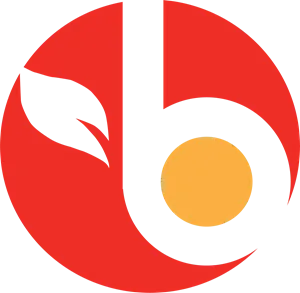 Supermercados Bravo