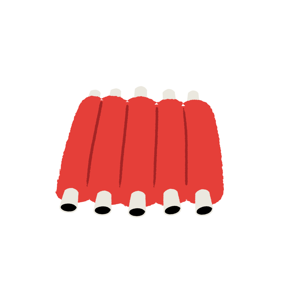 Ribs